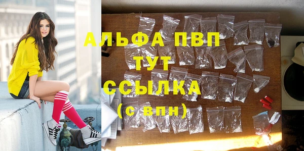 Альфа ПВП Снежинск