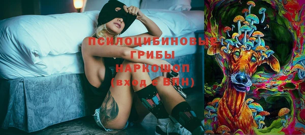 Альфа ПВП Снежинск